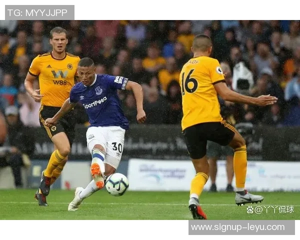 英超狼队与埃弗顿激战成平比分揭晓精彩瞬间回顾